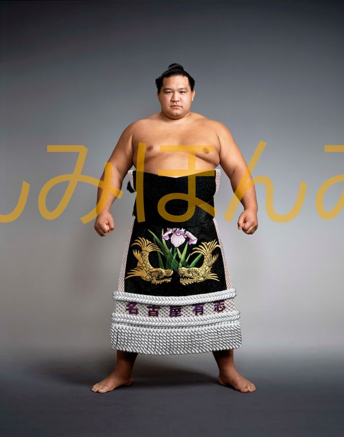 魁皇博之関　優勝ミニ額 大相撲ミニ額 大相撲優勝額　平成１３年７月場所 優勝 大関 魁皇博之関（３回目の優勝）優勝記念品 相撲グッズ 力士グッズ 相撲取りグッズ 国技館 限定品 記念品 コレクション 写真 H1307