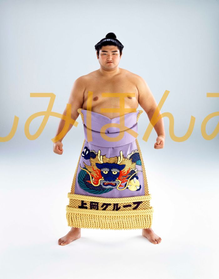 琴光喜啓司関　優勝ミニ額 大相撲ミニ額 大相撲優勝額　平成１３年９月場所 優勝 前頭 琴光喜啓司関優勝記念品 相撲グッズ 力士グッズ 相撲取りグッズ 国技館 限定品 記念品 コレクション 写真 H1309