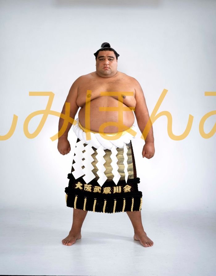 武蔵丸光洋関　優勝ミニ額 大相撲ミニ額 大相撲優勝額　平成１３年１１月場所 優勝 横綱 武蔵丸光洋関（９回目の優勝）優勝記念品 相撲グッズ 力士グッズ 相撲取りグッズ 国技館 限定品 記念品 コレクション 写真 H1311
