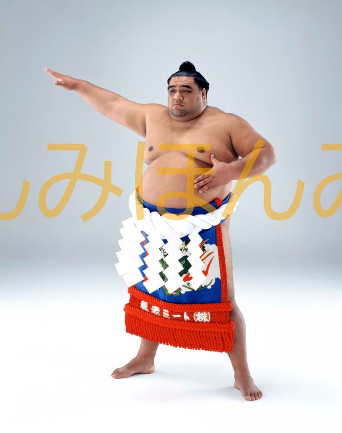 武蔵丸光洋関　優勝ミニ額 大相撲ミニ額 大相撲優勝額　平成１４年５月場所 優勝 横綱 武蔵丸光洋関（１１回目の優勝）優勝記念品 相撲グッズ 力士グッズ 相撲取りグッズ 国技館 限定品 記念品 コレクション 写真 H1405
