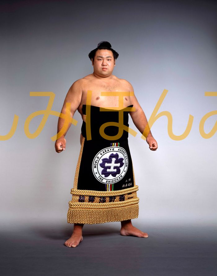 千代大海龍二関　優勝ミニ額 大相撲ミニ額 大相撲優勝額　平成１４年７月場所 優勝 大関 千代大海龍二関（２回目の優勝）優勝記念品 相撲グッズ 力士グッズ 相撲取りグッズ 国技館 限定品 記念品 コレクション 写真 H1407