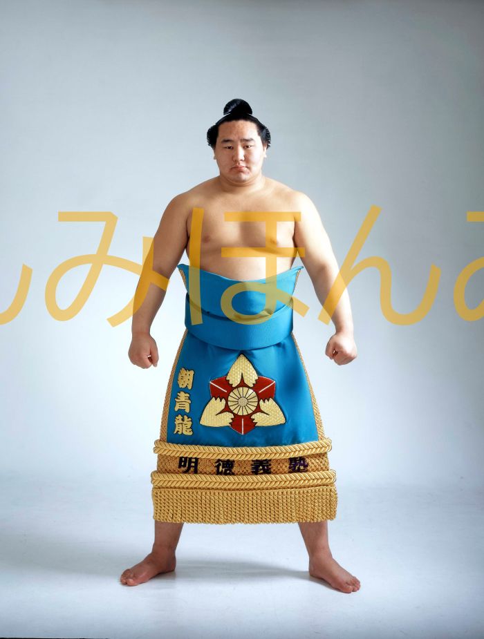 朝青龍明徳関　優勝ミニ額 大相撲ミニ額 大相撲優勝額　平成１４年１１月場所 優勝 大関 朝青龍明徳関（初優勝）優勝記念品 相撲グッズ 力士グッズ 相撲取りグッズ 国技館 限定品 記念品 コレクション 写真 H1411