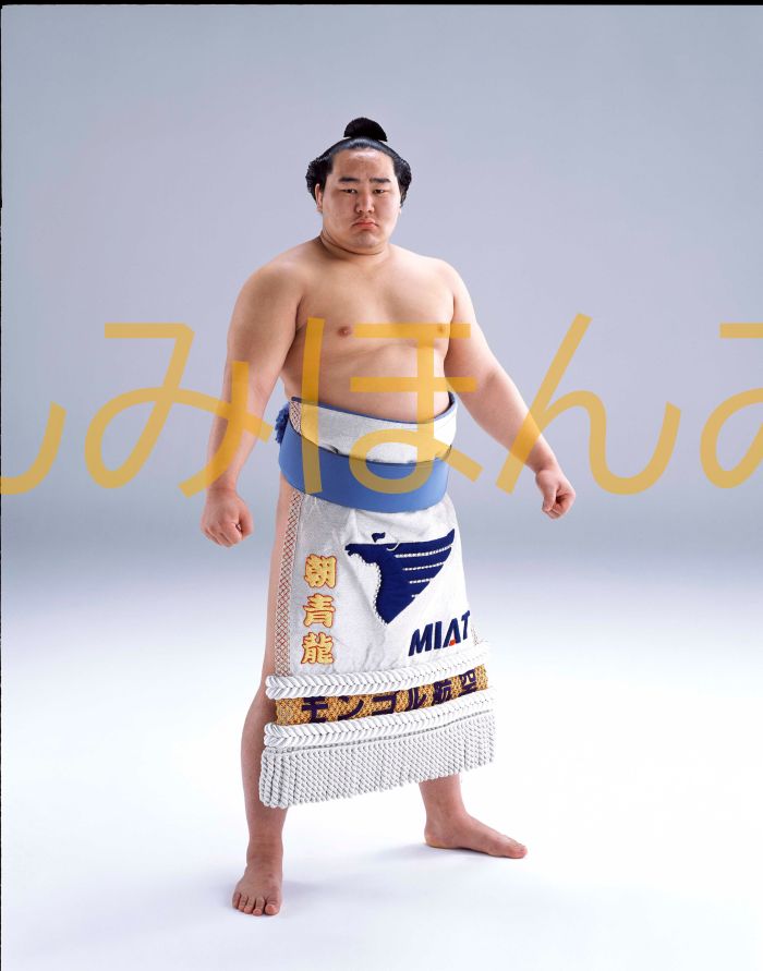 朝青龍明徳関　優勝ミニ額 大相撲ミニ額 大相撲優勝額　平成１５年１月場所 優勝 大関 朝青龍明徳関（２回目の優勝）優勝記念品 相撲グッズ 力士グッズ 相撲取りグッズ 国技館 限定品 記念品 コレクション 写真 H1501