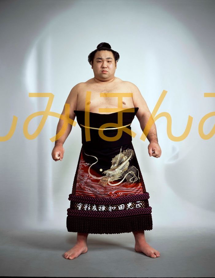 千代大海龍二関　優勝ミニ額 大相撲ミニ額 大相撲優勝額　平成１５年３月場所 優勝 大関 千代大海龍二関（３回目の優勝）優勝記念品 相撲グッズ 力士グッズ 相撲取りグッズ 国技館 限定品 記念品 コレクション 写真 H1503
