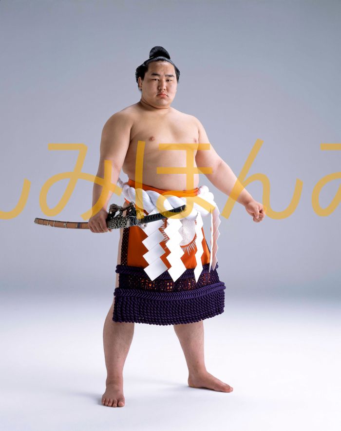 朝青龍明徳関　優勝ミニ額 大相撲ミニ額 大相撲優勝額　平成１５年５月場所 優勝 横綱 朝青龍明徳関（３回目の優勝）優勝記念品 相撲グッズ 力士グッズ 相撲取りグッズ 国技館 限定品 記念品 コレクション 写真 H1505