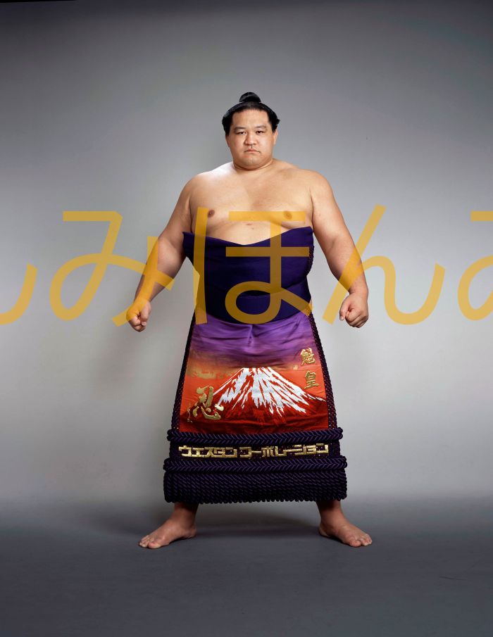 魁皇博之関　優勝ミニ額 大相撲ミニ額 大相撲優勝額　平成１５年７月場所 優勝 大関 魁皇博之関（４回目の優勝）優勝記念品 相撲グッズ 力士グッズ 相撲取りグッズ 国技館 限定品 記念品 コレクション 写真 H1507