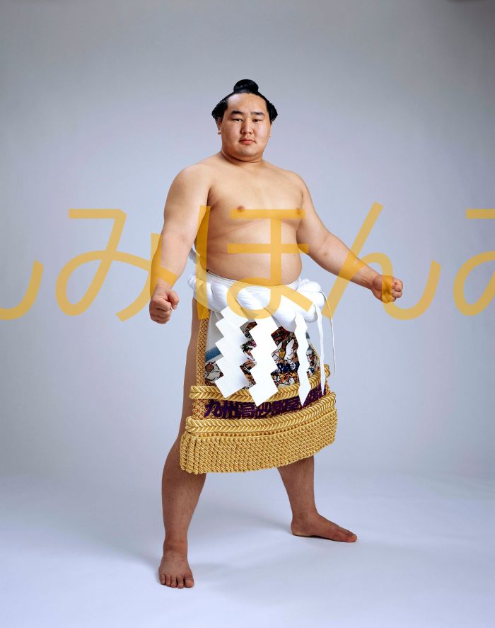 朝青龍明徳関　優勝ミニ額 大相撲ミニ額 大相撲優勝額　平成１６年５月場所 優勝 横綱 朝青龍明徳関（７回目の優勝）優勝記念品 相撲グッズ 力士グッズ 相撲取りグッズ 国技館 限定品 記念品 コレクション 写真 H1605