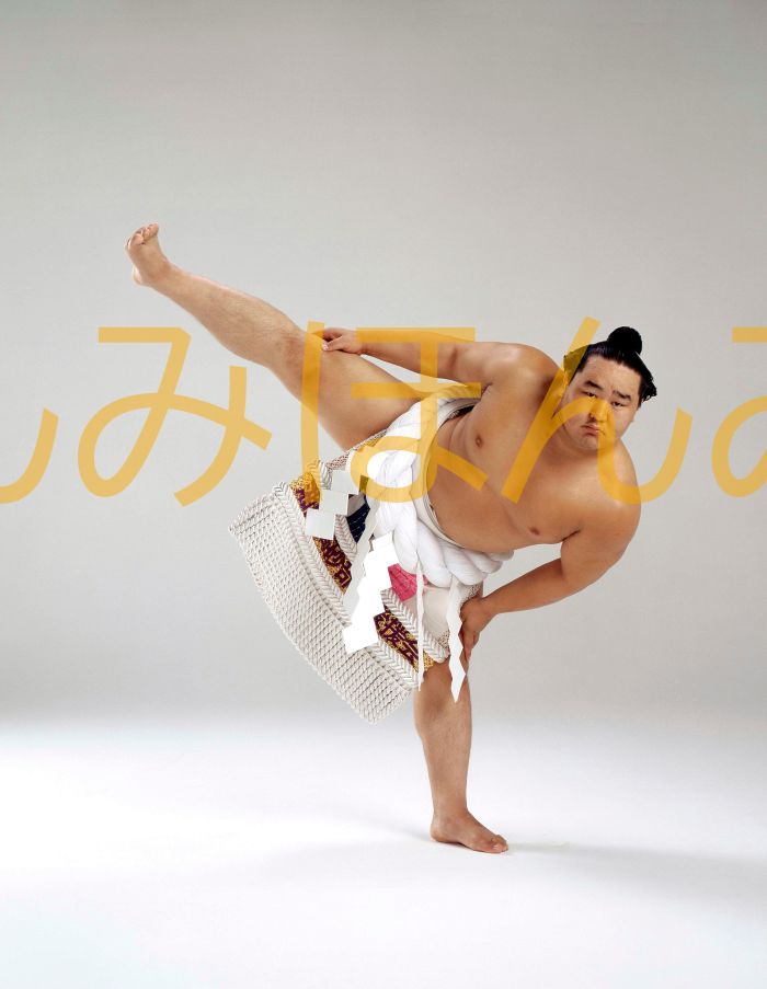 朝青龍明徳関　優勝ミニ額 大相撲ミニ額 大相撲優勝額　平成１６年７月場所 優勝 横綱 朝青龍明徳関（８回目の優勝）優勝記念品 相撲グッズ 力士グッズ 相撲取りグッズ 国技館 限定品 記念品 コレクション 写真 H1607