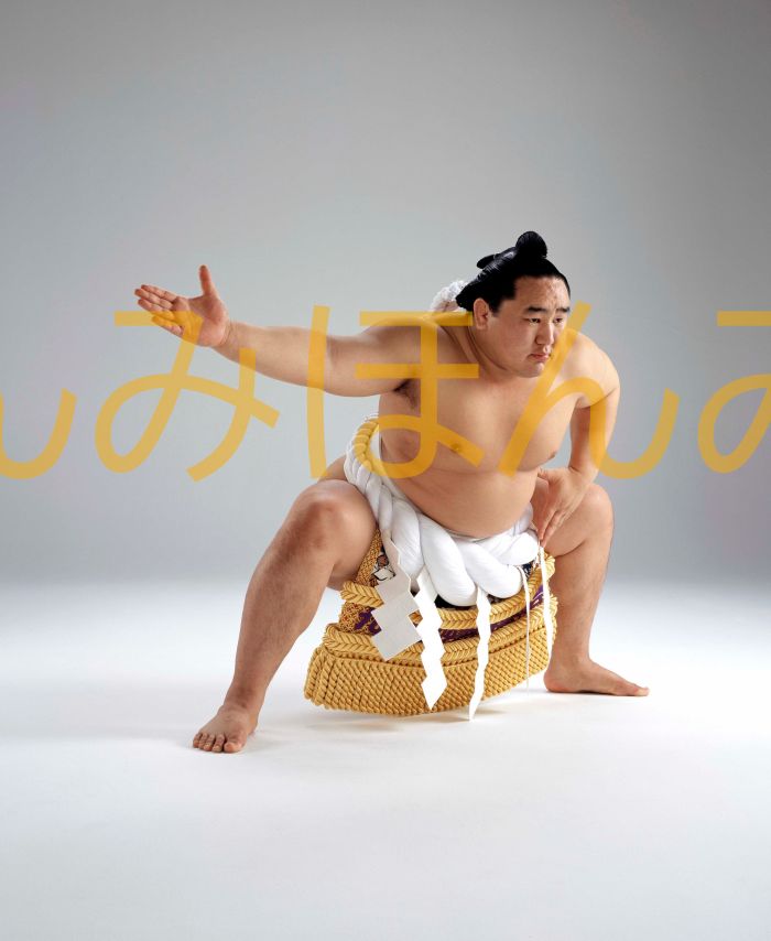 朝青龍明徳関　優勝ミニ額 大相撲ミニ額 大相撲優勝額　平成１６年１１月場所 優勝 横綱 朝青龍明徳関（９回目の優勝）優勝記念品 相撲グッズ 力士グッズ 相撲取りグッズ 国技館 限定品 記念品 コレクション 写真 H1611