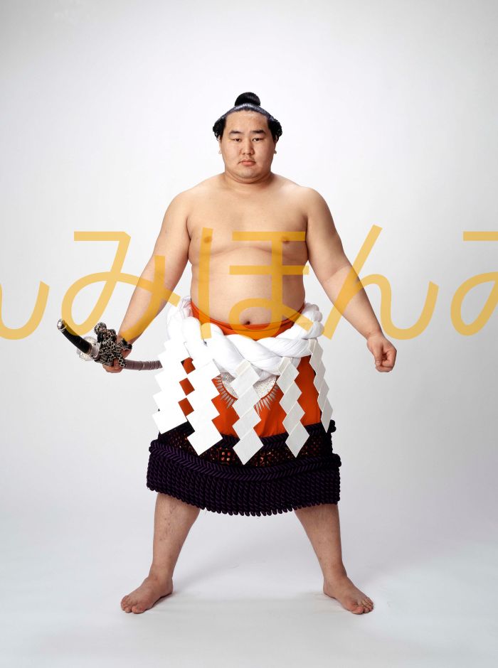 朝青龍明徳関　優勝ミニ額 大相撲ミニ額 大相撲優勝額　平成１７年１月場所 全勝 横綱 朝青龍明徳関（１０回目の優勝）優勝記念品 相撲グッズ 力士グッズ 相撲取りグッズ 国技館 限定品 記念品 コレクション 写真 H1701