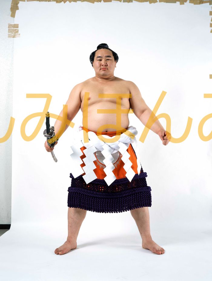 朝青龍明徳関　優勝ミニ額 大相撲ミニ額 大相撲優勝額　平成１７年３月場所 優勝 横綱 朝青龍明徳関（１１回目の優勝）優勝記念品 相撲グッズ 力士グッズ 相撲取りグッズ 国技館 限定品 記念品 コレクション 写真 H1703