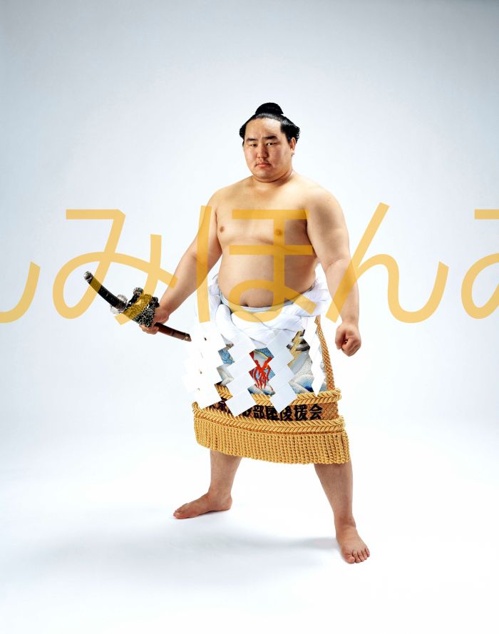 朝青龍明徳関　優勝ミニ額 大相撲ミニ額 大相撲優勝額　平成１７年５月場所 全勝 横綱 朝青龍明徳関（１２回目の優勝）優勝記念品 相撲グッズ 力士グッズ 相撲取りグッズ 国技館 限定品 記念品 コレクション 写真 H1705
