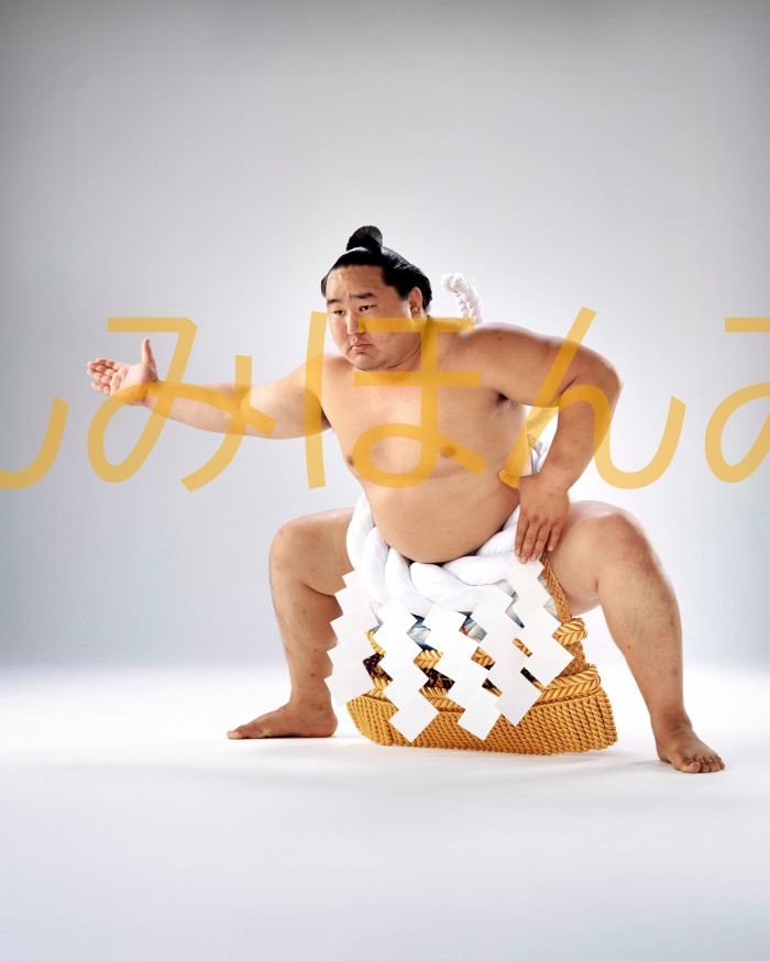 朝青龍明徳関　優勝ミニ額 大相撲ミニ額 大相撲優勝額　平成１７年７月場所 優勝 横綱 朝青龍明徳関（１３回目の優勝）優勝記念品 相撲グッズ 力士グッズ 相撲取りグッズ 国技館 限定品 記念品 コレクション 写真 H1707