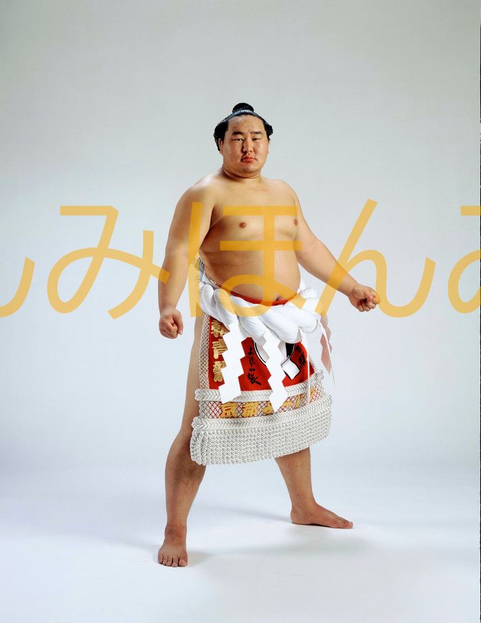 朝青龍明徳関　優勝ミニ額 大相撲ミニ額 大相撲優勝額　平成１７年９月場所 優勝 横綱 朝青龍明徳関（１４回目の優勝）優勝記念品 相撲グッズ 力士グッズ 相撲取りグッズ 国技館 限定品 記念品 コレクション 写真 H1709