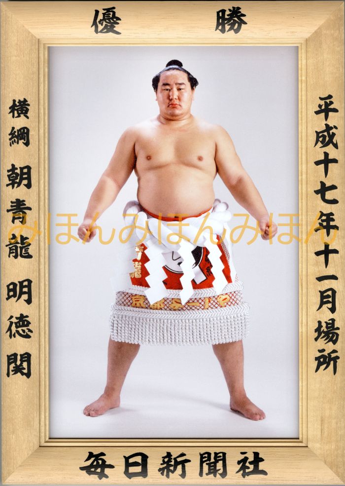 朝青龍明徳関　優勝ミニ額 大相撲ミニ額 大相撲優勝額　平成１７年１１月場所 優勝 横綱 朝青龍明徳関（１５回目の優勝）優勝記念品 相撲グッズ 力士グッズ 相撲取りグッズ 国技館 限定品 記念品 コレクション 写真 H1711