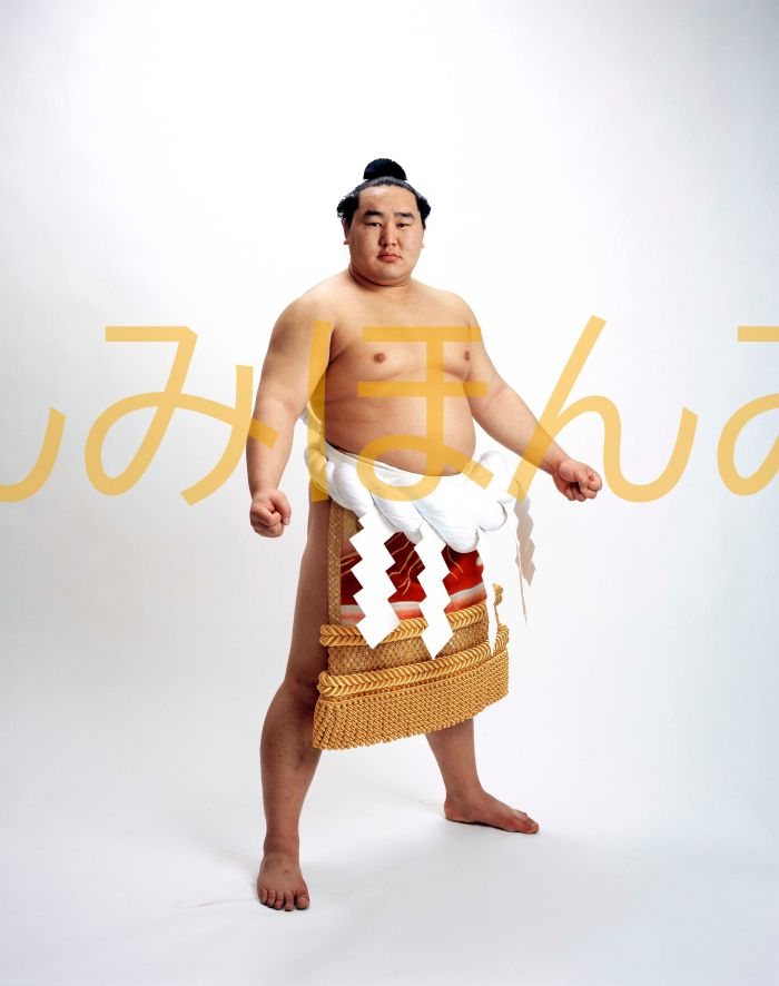 朝青龍明徳関　優勝ミニ額 大相撲ミニ額 大相撲優勝額　平成１８年３月場所 優勝 横綱 朝青龍明徳関（１６回目の優勝）優勝記念品 相撲グッズ 力士グッズ 相撲取りグッズ 国技館 限定品 記念品 コレクション 写真 H1803