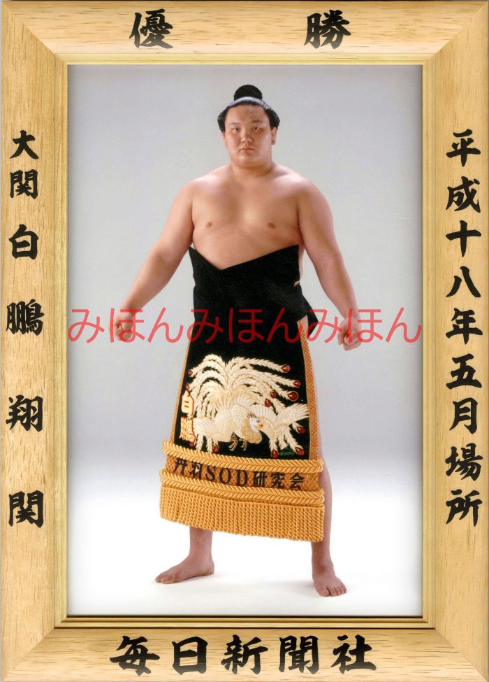 白鵬翔関　優勝ミニ額 大相撲ミニ額 大相撲優勝額　平成１８年５月場所 優勝 大関 白鵬翔関（初優勝）優勝記念品 相撲グッズ 力士グッズ 相撲取りグッズ 国技館 限定品 記念品 コレクション 写真 H1805
