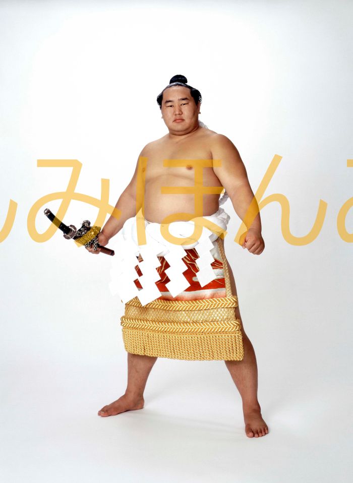 朝青龍明徳関　優勝ミニ額 大相撲ミニ額 大相撲優勝額　平成１８年７月場所 優勝 横綱 朝青龍明徳関（１７回目の優勝）優勝記念品 相撲グッズ 力士グッズ 相撲取りグッズ 国技館 限定品 記念品 コレクション 写真 H1807