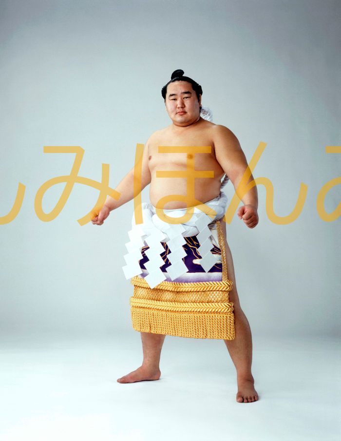 朝青龍明徳関　優勝ミニ額 大相撲ミニ額 大相撲優勝額　平成１８年９月場所 優勝 横綱 朝青龍明徳関（１８回目の優勝）優勝記念品 相撲グッズ 力士グッズ 相撲取りグッズ 国技館 限定品 記念品 コレクション 写真 H1809