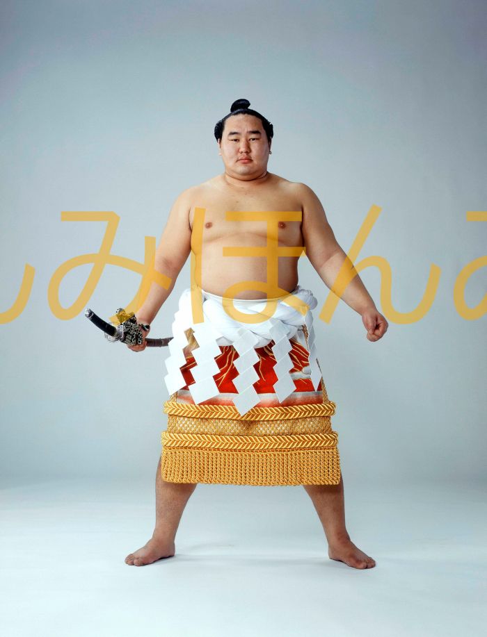 朝青龍明徳関　優勝ミニ額 大相撲ミニ額 大相撲優勝額　平成１８年１１月場所 全勝 横綱 朝青龍明徳関（１９回目の優勝）優勝記念品 相撲グッズ 力士グッズ 相撲取りグッズ 国技館 限定品 記念品 コレクション 写真 H1811