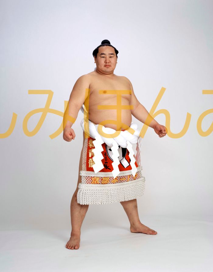 朝青龍明徳関　優勝ミニ額 大相撲ミニ額 大相撲優勝額　平成１９年１月場所 優勝 横綱 朝青龍明徳関（２０回目の優勝）優勝記念品 相撲グッズ 力士グッズ 相撲取りグッズ 国技館 限定品 記念品 コレクション 写真 H1901