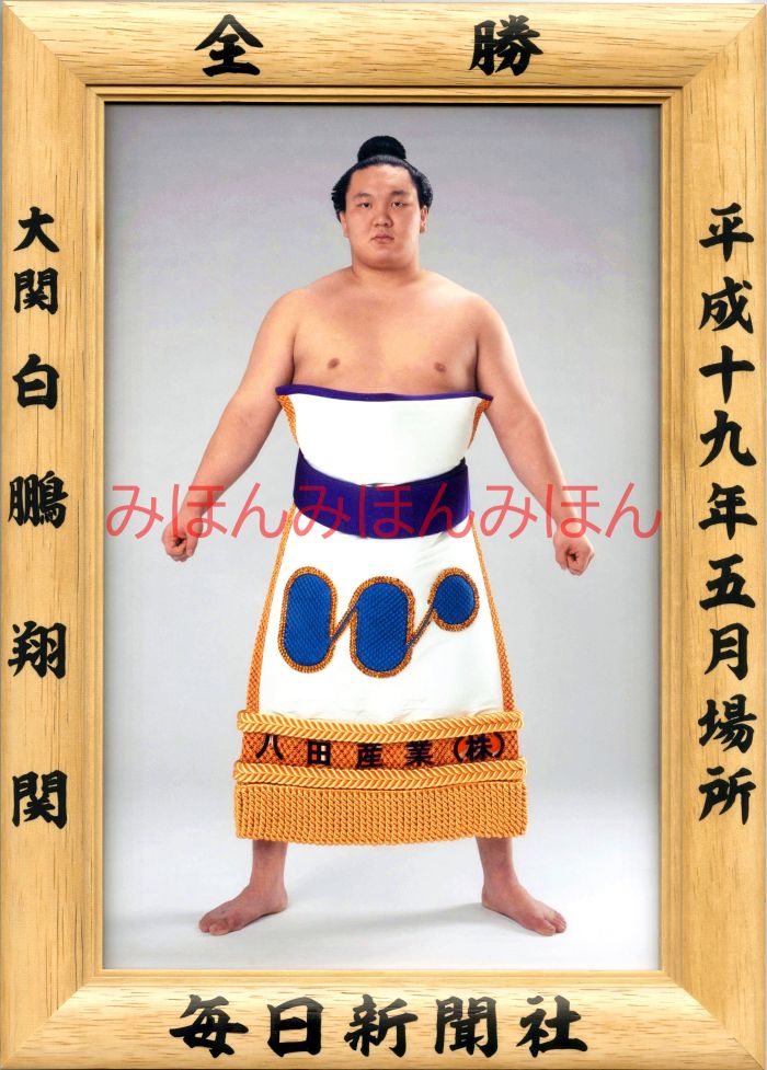 白鵬翔関　優勝ミニ額 大相撲ミニ額 大相撲優勝額　平成１９年５月場所 全勝 大関 白鵬翔関（３回目の優勝）優勝記念品 相撲グッズ 力士グッズ 相撲取りグッズ 国技館 限定品 記念品 コレクション 写真 H1905