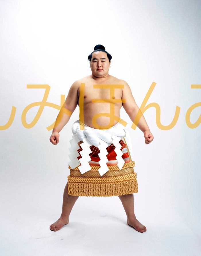 朝青龍明徳関　優勝ミニ額 大相撲ミニ額 大相撲優勝額　平成１９年７月場所 優勝 横綱 朝青龍明徳関（２１回目の優勝）優勝記念品 相撲グッズ 力士グッズ 相撲取りグッズ 国技館 限定品 記念品 コレクション 写真 H1907