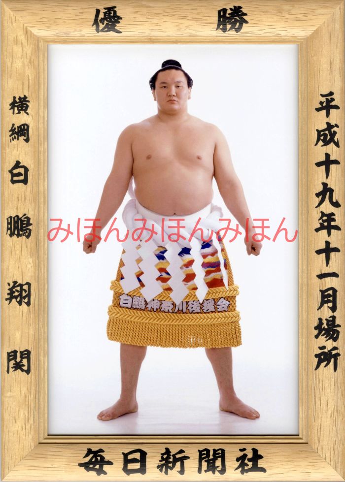 白鵬翔関　優勝ミニ額 大相撲ミニ額 大相撲優勝額　平成１９年１１月場所 優勝 横綱 白鵬翔関（５回目の優勝）優勝記念品 相撲グッズ 力士グッズ 相撲取りグッズ 国技館 限定品 記念品 コレクション 写真 H1911