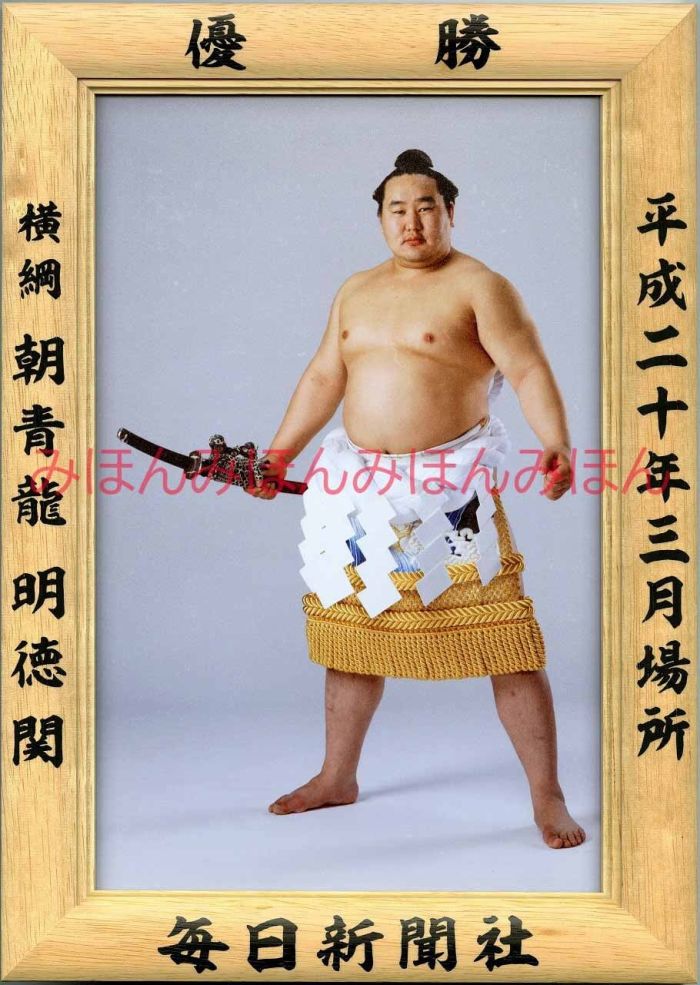 朝青龍明徳関　優勝ミニ額 大相撲ミニ額 大相撲優勝額　平成２０年３月場所 優勝 横綱 朝青龍明徳関（２２回目の優勝）優勝記念品 相撲グッズ 力士グッズ 相撲取りグッズ 国技館 限定品 記念品 コレクション 写真 H2003