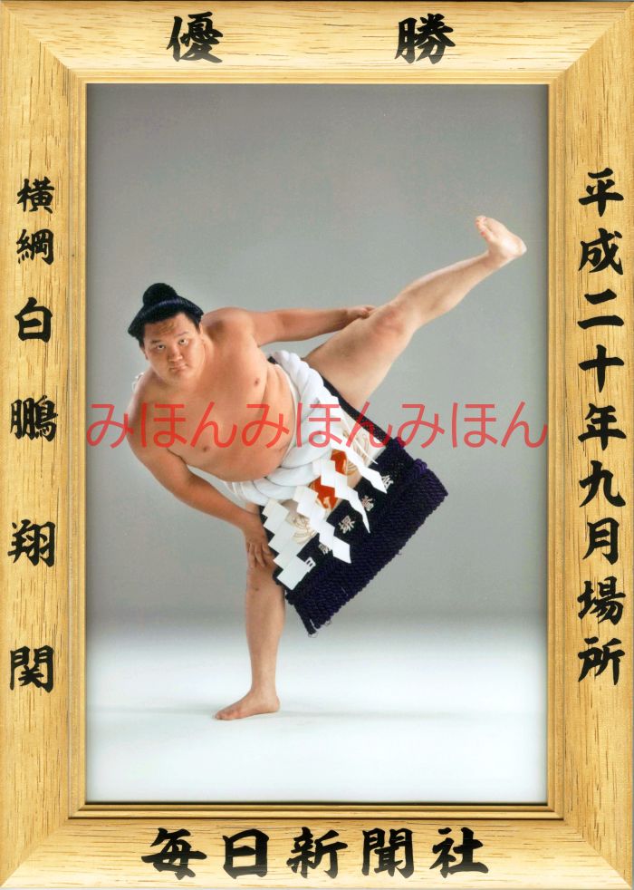 白鵬翔関　優勝ミニ額 大相撲ミニ額 大相撲優勝額　平成２０年９月場所 優勝 横綱 白鵬翔関（８回目の優勝）優勝記念品 相撲グッズ 力士グッズ 相撲取りグッズ 国技館 限定品 記念品 コレクション 写真 H2009