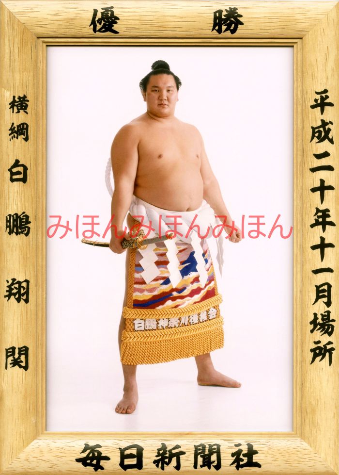 白鵬翔関　優勝ミニ額 大相撲ミニ額 大相撲優勝額　平成２０年１１月場所 優勝 横綱 白鵬翔関（９回目の優勝）優勝記念品 相撲グッズ 力士グッズ 相撲取りグッズ 国技館 限定品 記念品 コレクション 写真 H2011