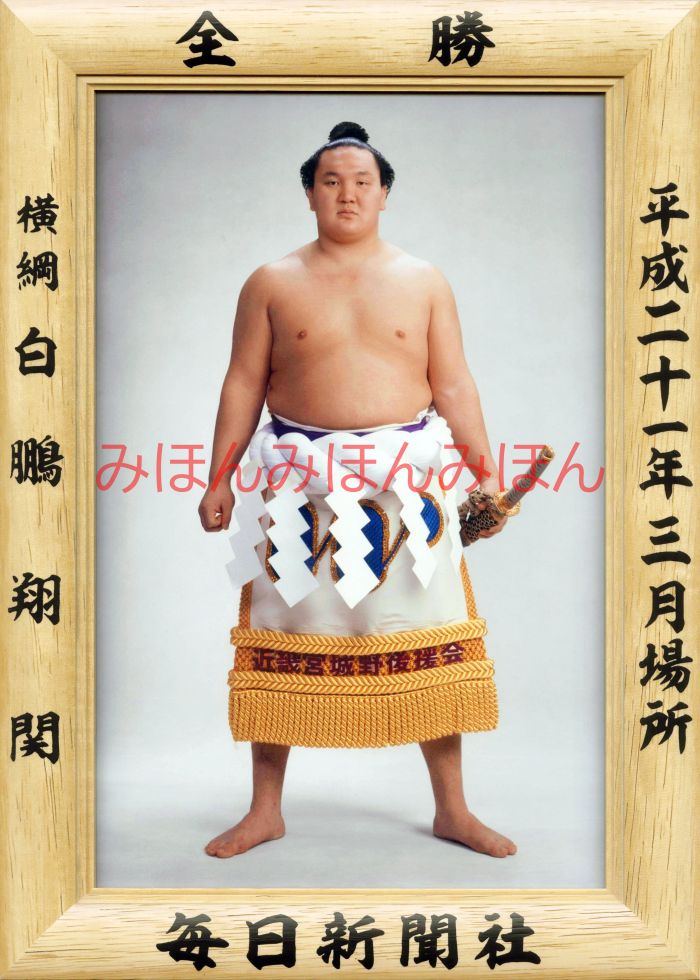 白鵬翔関　優勝ミニ額 大相撲ミニ額 大相撲優勝額　平成２１年３月場所 全勝 横綱 白鵬翔関（１０回目の優勝）優勝記念品 相撲グッズ 力士グッズ 相撲取りグッズ 国技館 限定品 記念品 コレクション 写真 H2103