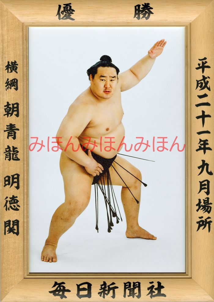 朝青龍明徳関　優勝ミニ額 大相撲ミニ額 大相撲優勝額　平成２１年９月場所 優勝 横綱 朝青龍明徳関（２４回目の優勝）優勝記念品 相撲グッズ 力士グッズ 相撲取りグッズ 国技館 限定品 記念品 コレクション 写真 H2109