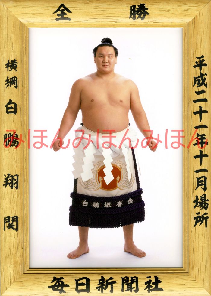 白鵬翔関　優勝ミニ額 大相撲ミニ額 大相撲優勝額　平成２１年１１月場所 全勝 横綱 白鵬翔関（１２回目の優勝）優勝記念品 相撲グッズ 力士グッズ 相撲取りグッズ 国技館 限定品 記念品 コレクション 写真 H2111