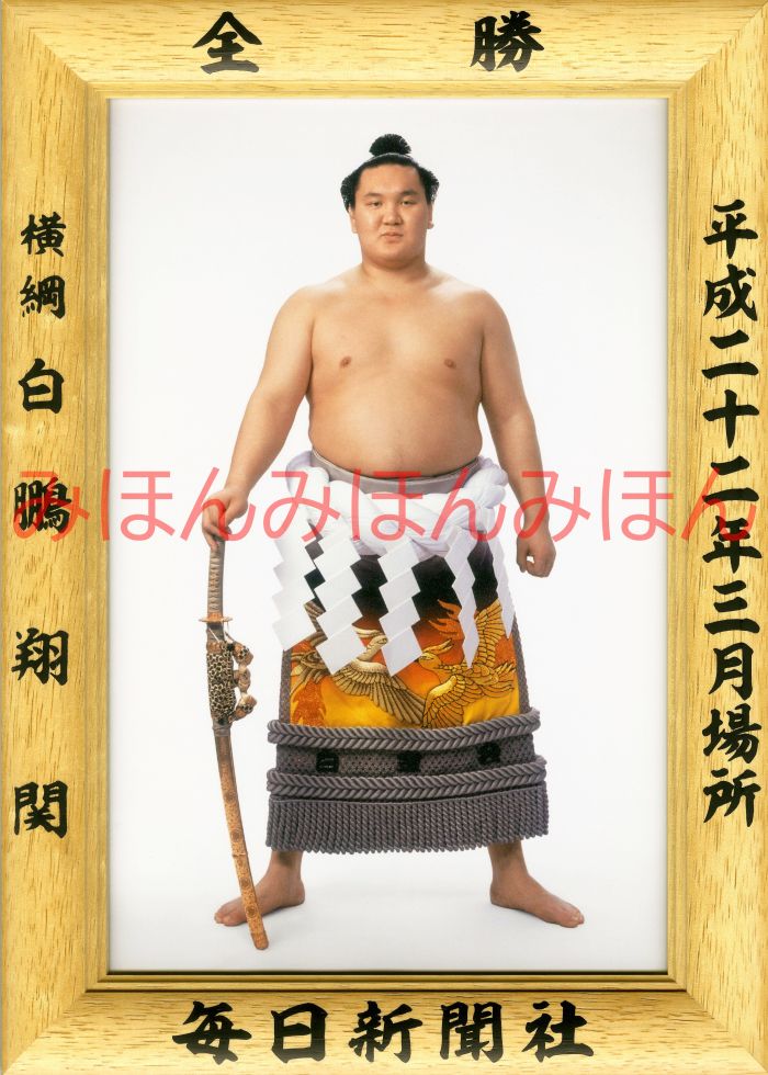 白鵬翔関　優勝ミニ額 大相撲ミニ額 大相撲優勝額　平成２２年３月場所 全勝 横綱 白鵬翔関（１３回目の優勝）優勝記念品 相撲グッズ 力士グッズ 相撲取りグッズ 国技館 限定品 記念品 コレクション 写真 H2203