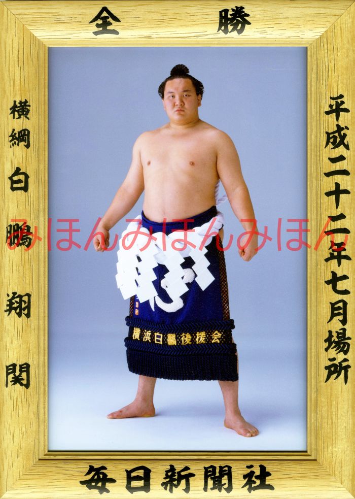 白鵬翔関　優勝ミニ額 大相撲ミニ額 大相撲優勝額　平成２２年７月場所 全勝 横綱 白鵬翔関（１５回目の優勝）優勝記念品 相撲グッズ 力士グッズ 相撲取りグッズ 国技館 限定品 記念品 コレクション 写真 H2207