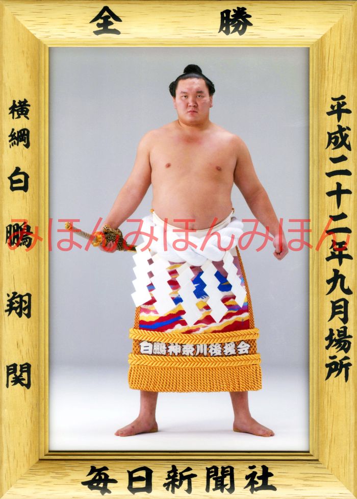 楽天市場】魁傑将晃関 優勝ミニ額 大相撲ミニ額 大相撲優勝額