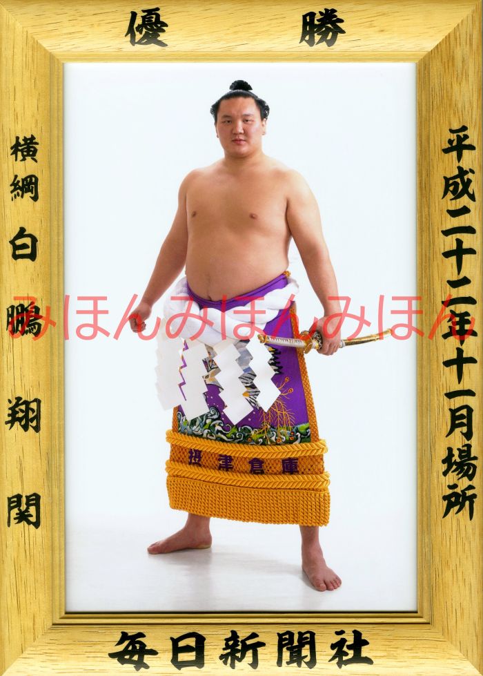 白鵬翔関　優勝ミニ額 大相撲ミニ額 大相撲優勝額　平成２２年１１月場所 優勝 横綱 白鵬翔関（１７回目の優勝）優勝記念品 相撲グッズ 力士グッズ 相撲取りグッズ 国技館 限定品 記念品 コレクション 写真 H2211
