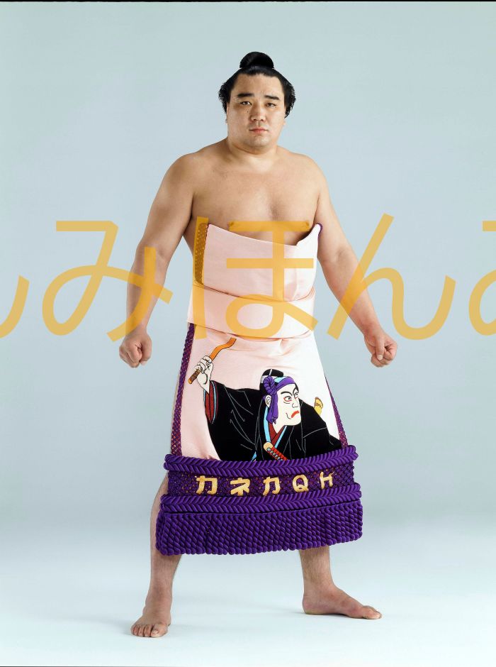 日馬富士公平関　優勝ミニ額 大相撲ミニ額 大相撲優勝額　平成２３年７月場所 優勝 大関 日馬富士公平関（２回目の優勝）優勝記念品 相撲グッズ 力士グッズ 相撲取りグッズ 国技館 限定品 記念品 コレクション 写真 H2307