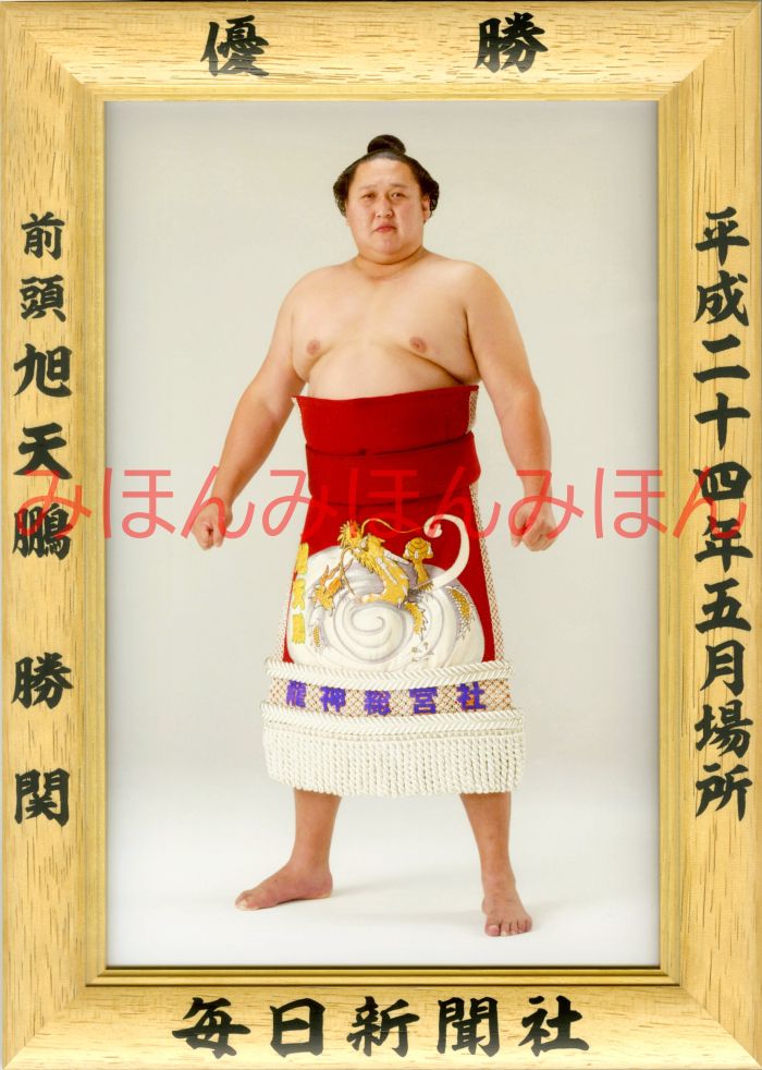 旭天鵬勝関　優勝ミニ額 大相撲ミニ額 大相撲優勝額　平成２４年５月場所 優勝 前頭 旭天鵬勝関優勝記念品 相撲グッズ 力士グッズ 相撲取りグッズ 国技館 限定品 記念品 コレクション 写真 H2405