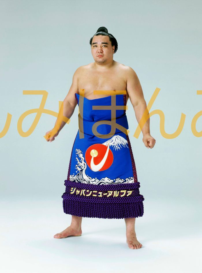 日馬富士公平関　優勝ミニ額 大相撲ミニ額 大相撲優勝額　平成２４年７月場所 全勝 大関 日馬富士公平関（３回目の優勝）優勝記念品 相撲グッズ 力士グッズ 相撲取りグッズ 国技館 限定品 記念品 コレクション 写真 H2407