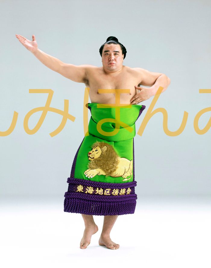 日馬富士公平関　優勝ミニ額 大相撲ミニ額 大相撲優勝額　平成２４年９月場所 全勝 大関 日馬富士公平関（４回目の優勝）優勝記念品 相撲グッズ 力士グッズ 相撲取りグッズ 国技館 限定品 記念品 コレクション 写真 H2409