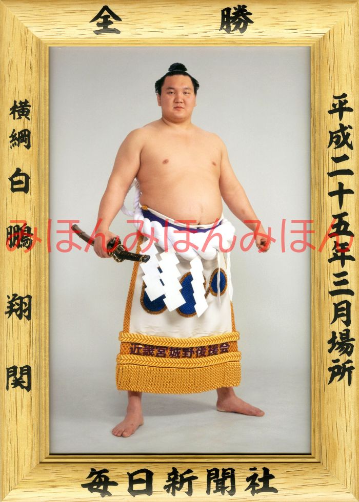 白鵬翔関　優勝ミニ額 大相撲ミニ額 大相撲優勝額　平成２５年３月場所 全勝 横綱 白鵬翔関（２４回目の優勝）優勝記念品 相撲グッズ 力士グッズ 相撲取りグッズ 国技館 限定品 記念品 コレクション 写真 H2503