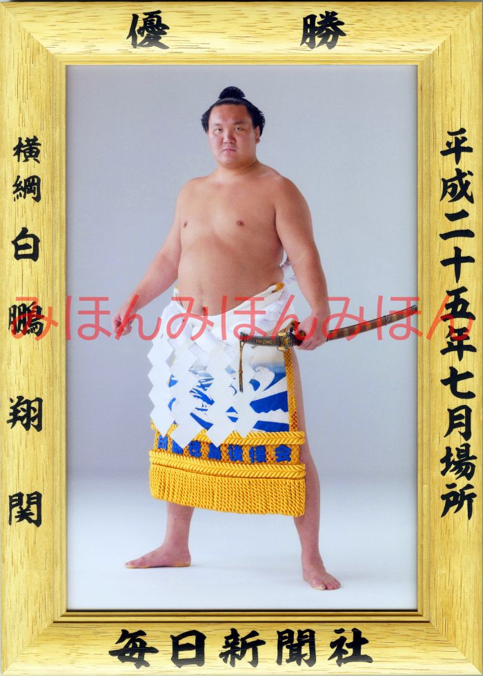 白鵬翔関　優勝ミニ額 大相撲ミニ額 大相撲優勝額　平成２５年７月場所 優勝 横綱 白鵬翔関（２６回目の優勝）優勝記念品 相撲グッズ 力士グッズ 相撲取りグッズ 国技館 限定品 記念品 コレクション 写真 H2507
