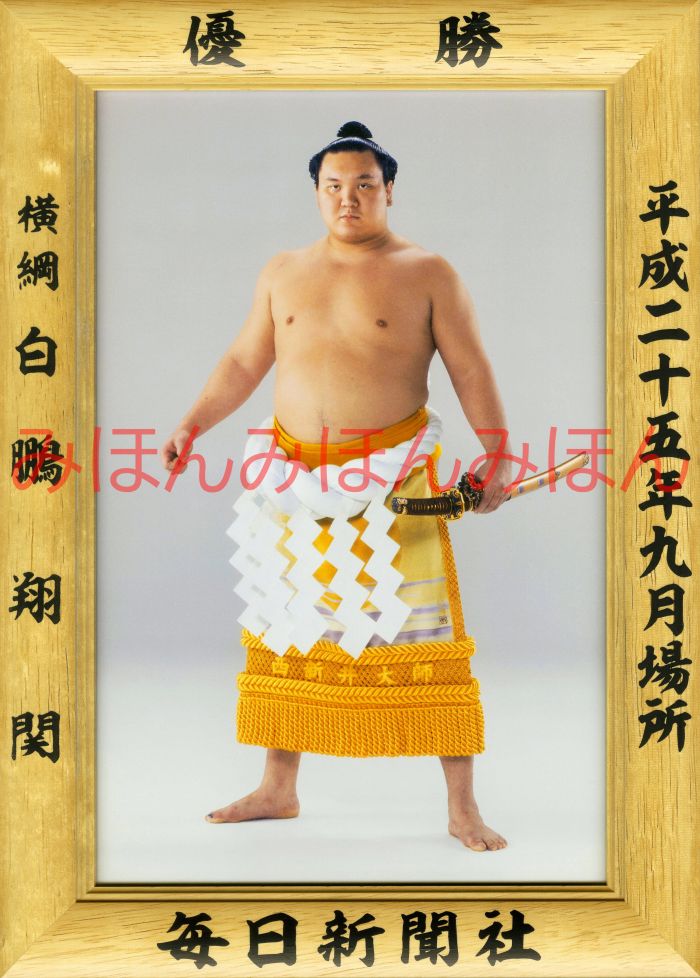 白鵬翔関　優勝ミニ額 大相撲ミニ額 大相撲優勝額　平成２５年９月場所 優勝 横綱 白鵬翔関（２７回目の優勝）優勝記念品 相撲グッズ 力士グッズ 相撲取りグッズ 国技館 限定品 記念品 コレクション 写真 H2509