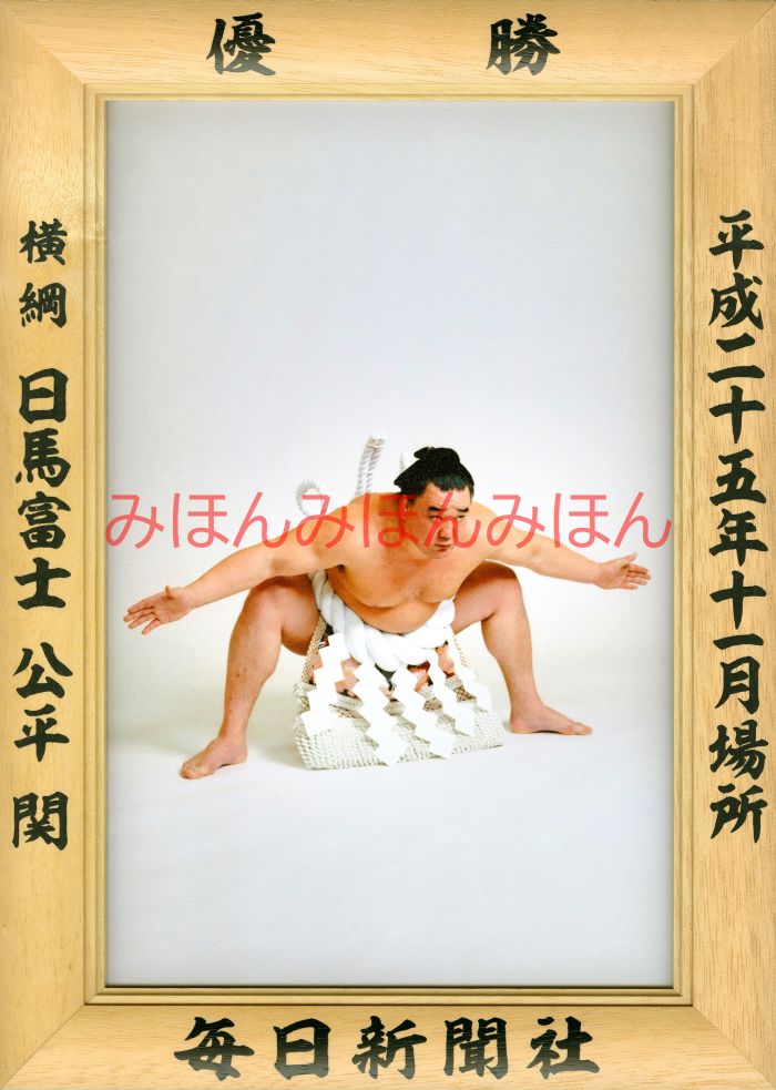 日馬富士公平関　優勝ミニ額 大相撲ミニ額 大相撲優勝額　平成２５年１１月場所 優勝 横綱 日馬富士公平関（６回目の優勝）優勝記念品 相撲グッズ 力士グッズ 相撲取りグッズ 国技館 限定品 記念品 コレクション 写真 H2511