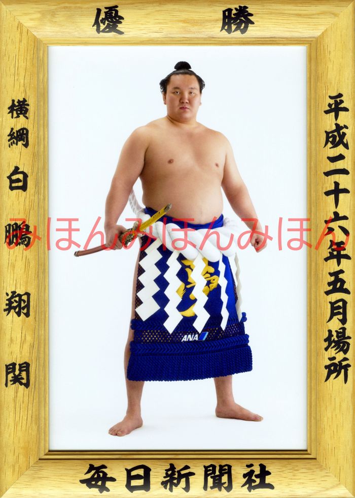 白鵬翔関　優勝ミニ額 大相撲ミニ額 大相撲優勝額　平成２６年５月場所 優勝 横綱 白鵬翔関（２９回目の優勝）優勝記念品 相撲グッズ 力士グッズ 相撲取りグッズ 国技館 限定品 記念品 コレクション 写真 H2605
