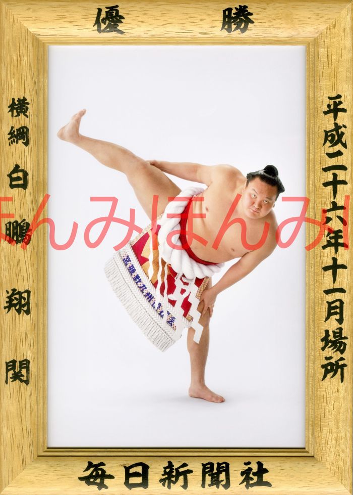 白鵬翔関　優勝ミニ額 大相撲ミニ額 大相撲優勝額　平成２６年１１月場所 優勝 横綱 白鵬翔関（３２回目の優勝）優勝記念品 相撲グッズ 力士グッズ 相撲取りグッズ 国技館 限定品 記念品 コレクション 写真 H2611