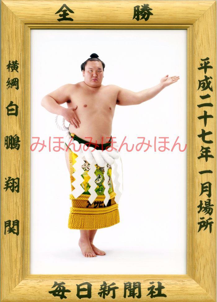 白鵬翔関　優勝ミニ額 大相撲ミニ額 大相撲優勝額　平成２７（２０１５）年１月場所 全勝 横綱 白鵬翔関（３３回目の優勝）優勝記念品 相撲グッズ 力士グッズ 相撲取りグッズ 国技館 限定品 記念品 コレクション 写真 H2701