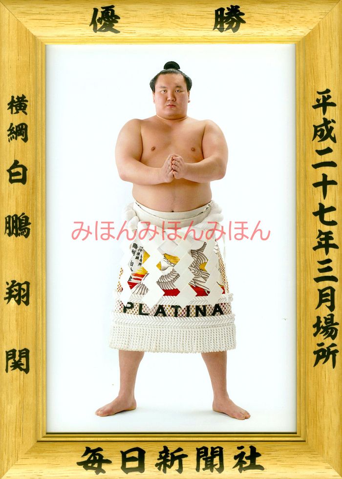 白鵬翔関　優勝ミニ額 大相撲ミニ額 大相撲優勝額　平成２７（２０１５）年３月場所 優勝 横綱 白鵬翔関（３４回目の優勝）優勝記念品 相撲グッズ 力士グッズ 相撲取りグッズ 国技館 限定品 記念品 コレクション 写真 H2703